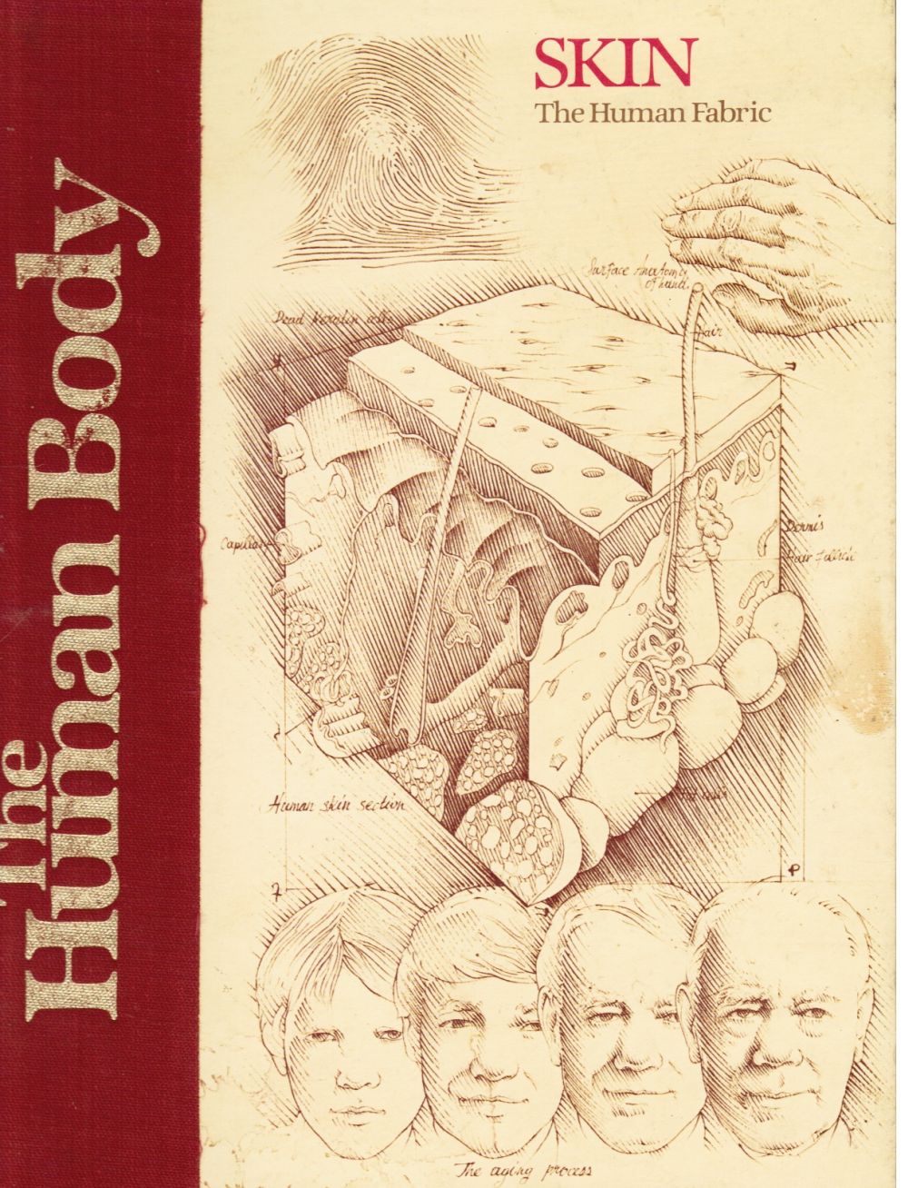 Image for Skin: the Human Fabric