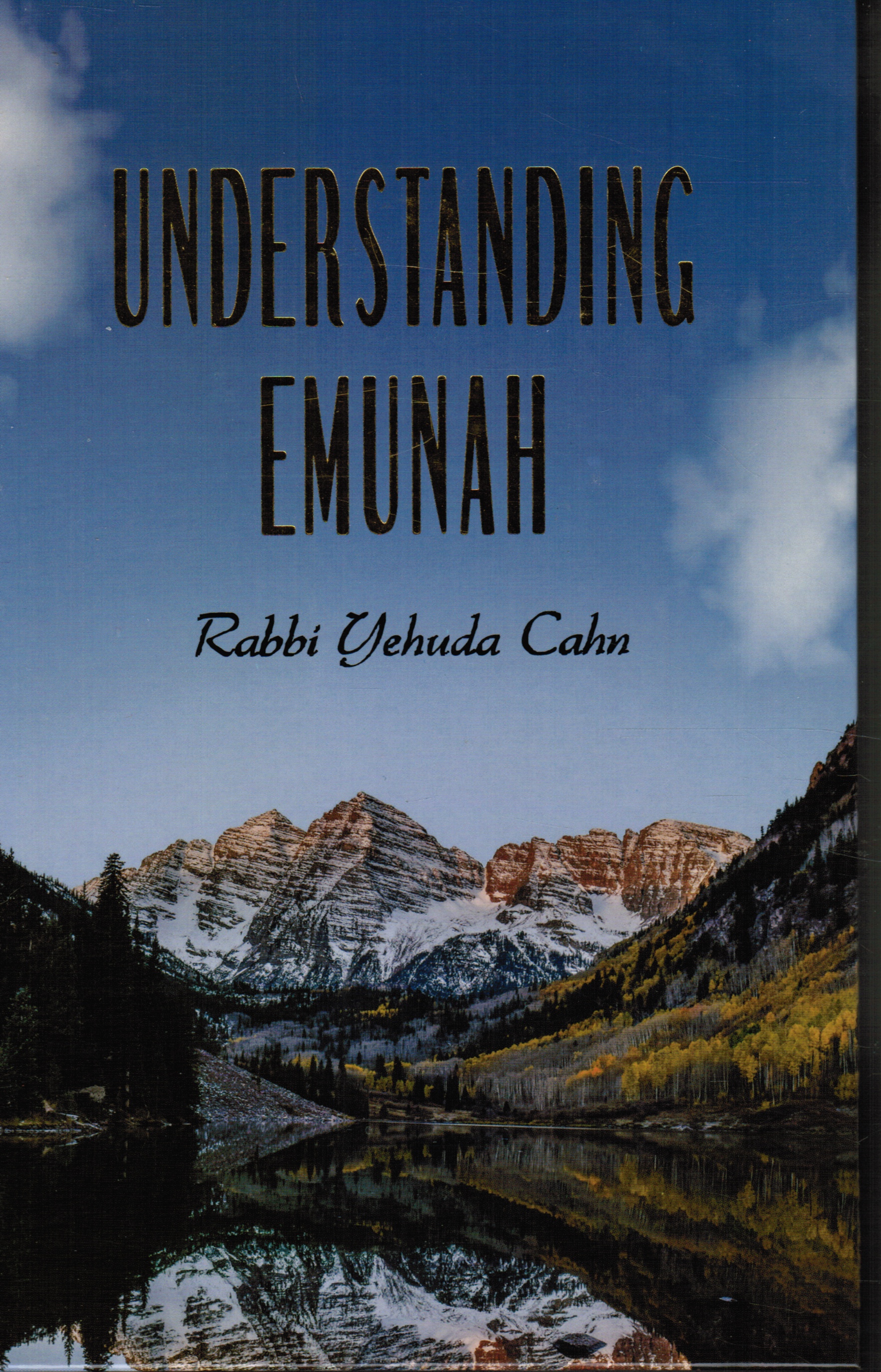 Image for Understanding Emunah