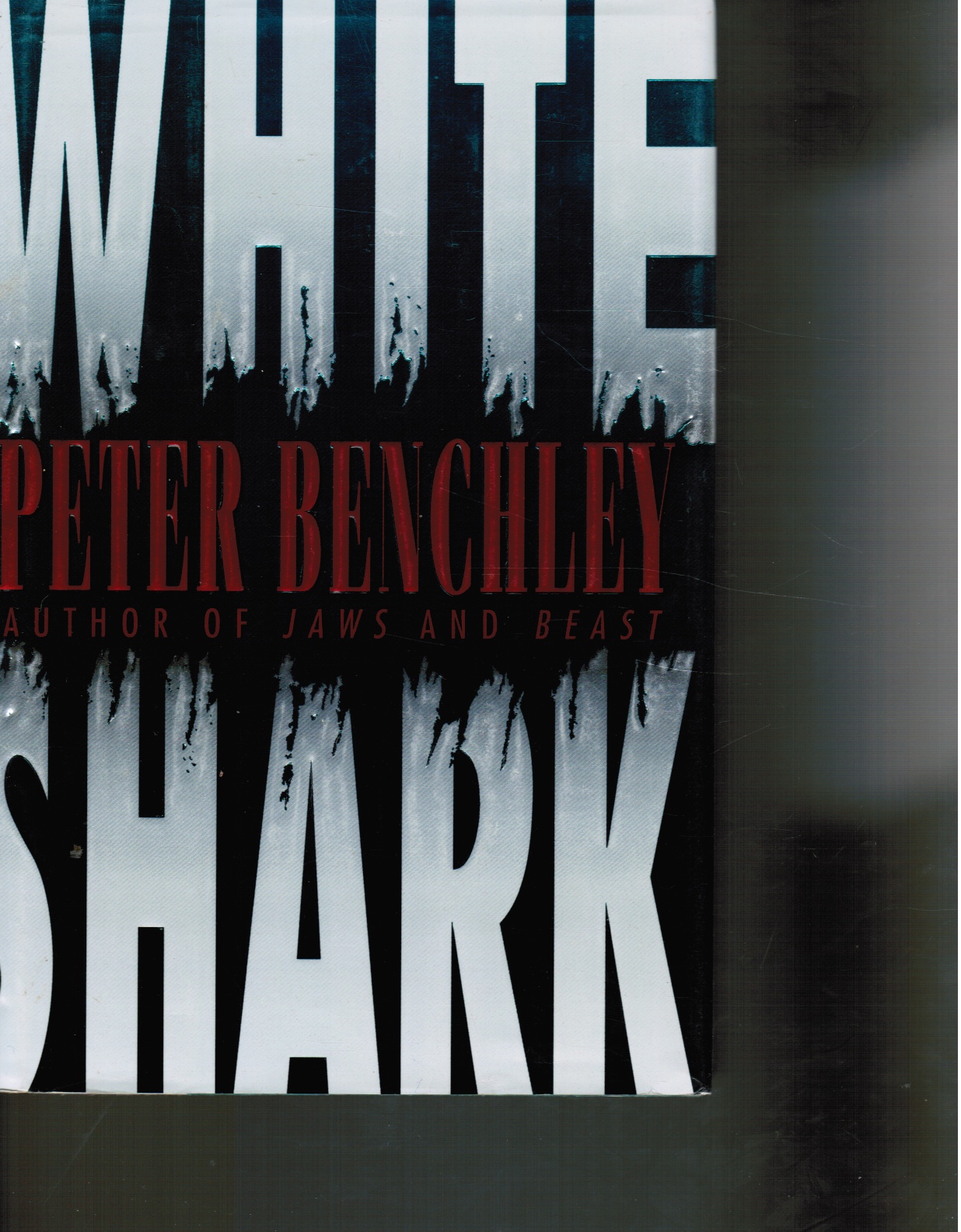 Image for White Shark