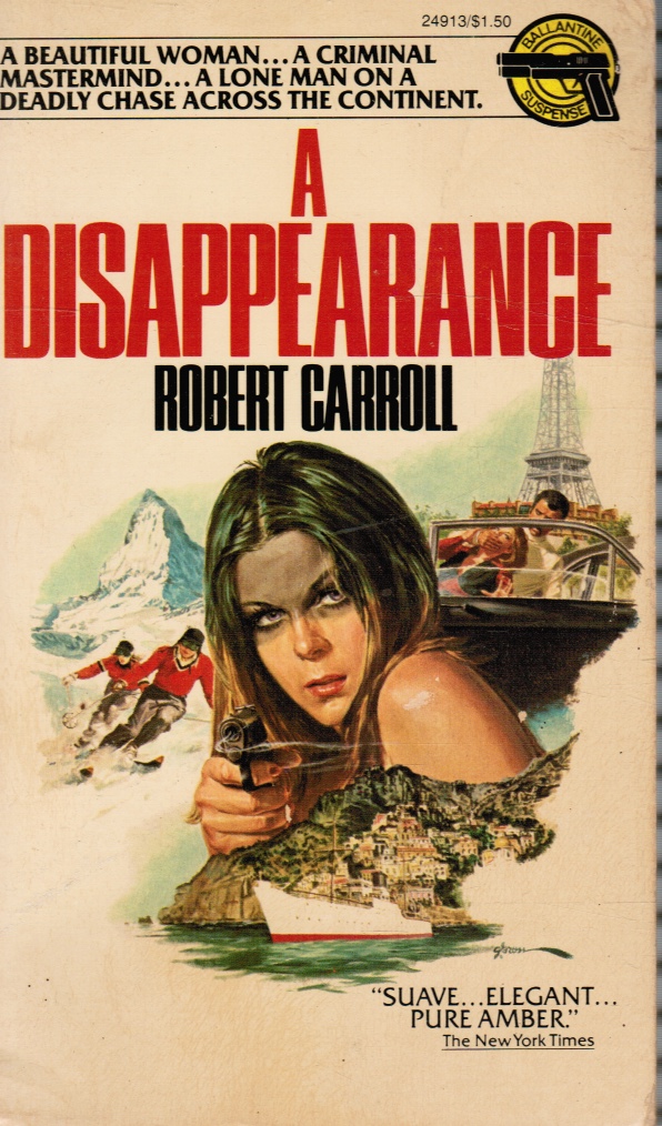 Image for A Disappearance