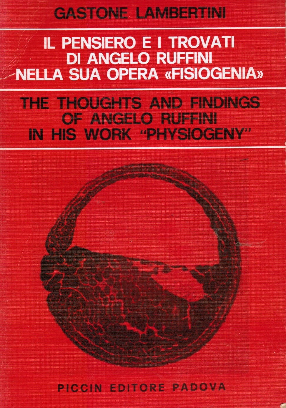 Image for IL Pensiero e i Trovati Di Angelo Ruffini Nella Sua Opera Fisiogenia: the Thoughts and Findings of Angelo Ruffini in His Work Physiogeny