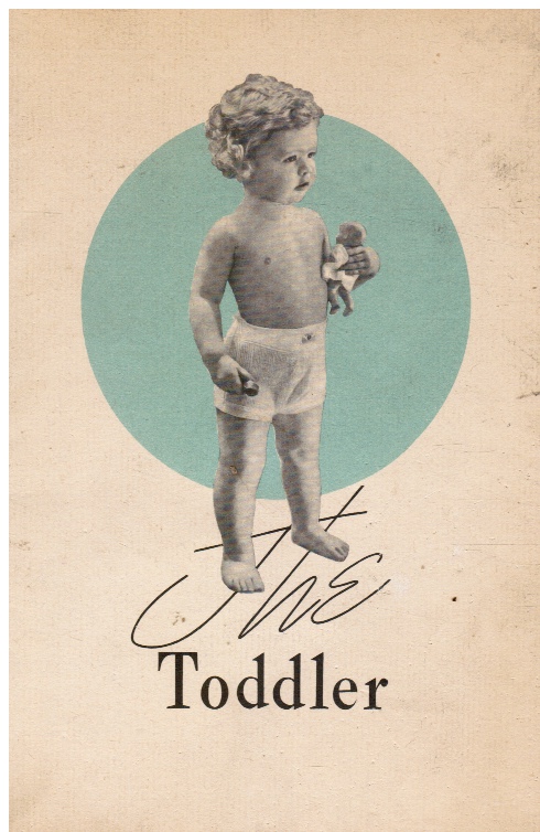Image for The Toddler; a Book for Parents