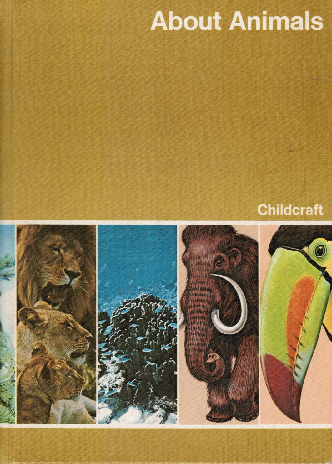 Image for Childcraft the How and why Library Volume 5: about Animals