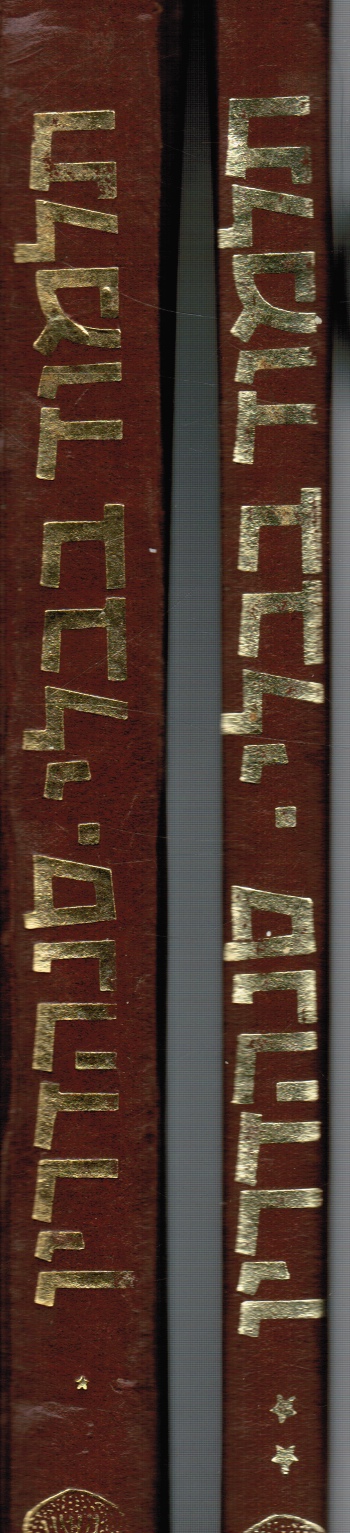 Image for Talmud Bavli: Masseket Sanhedrin (2 Volumes)