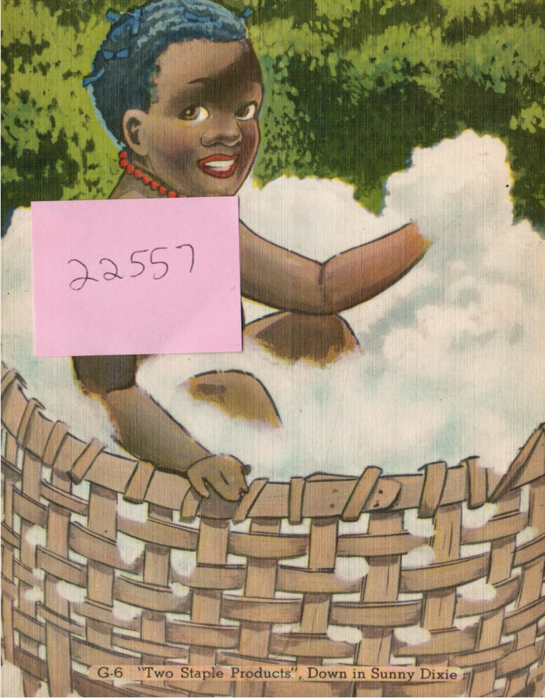 Image for Down in Sunny Dixie: Giant Post Card