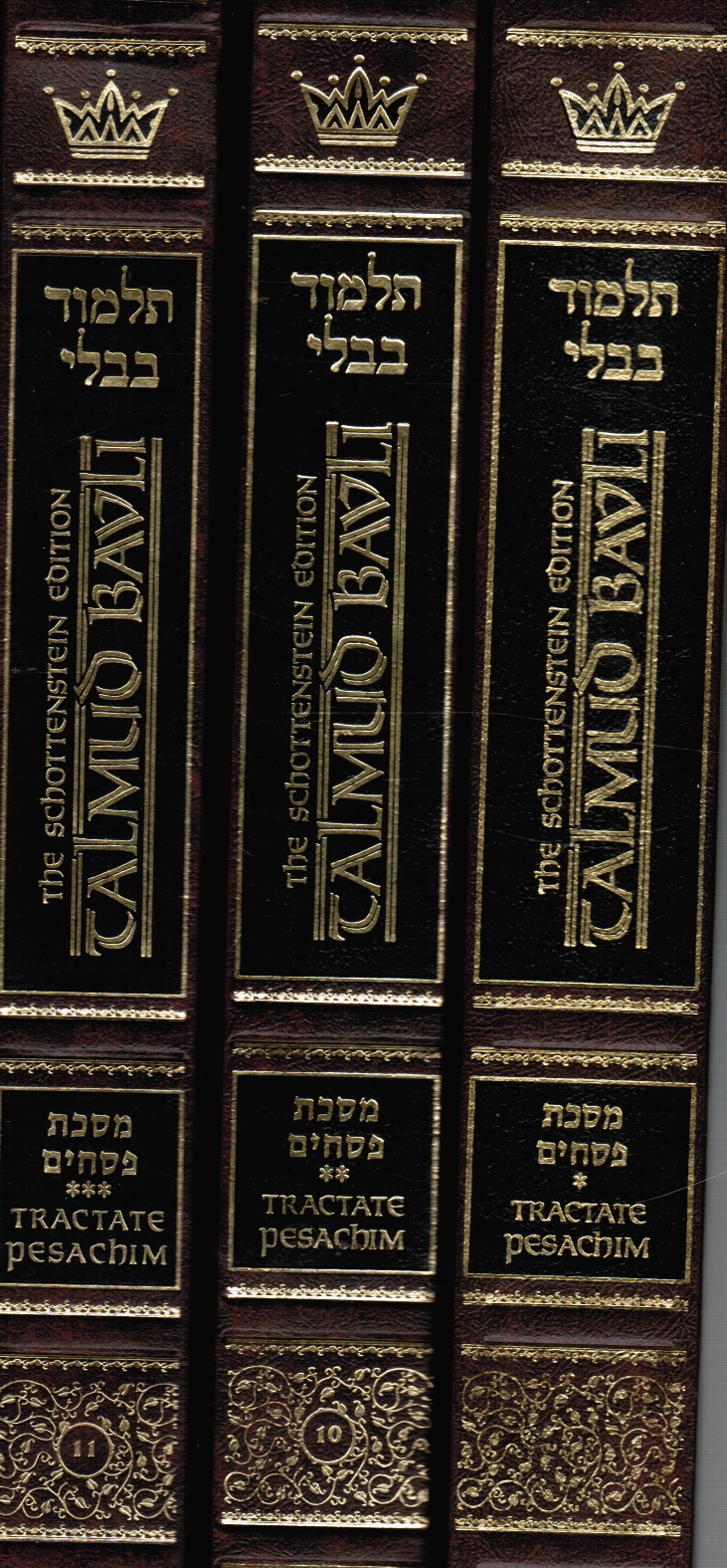 Talmud Bavli: the Gemara -- Tractate Pesachim (3 Books) Full-Sized Pesachim -- Vol 1, 2 and 3 Image for Talmud Bavli: the Gemara -- Tractate Pesachim (3 Books) Full-Sized Pesachim -- Vol 1, 2 and 3