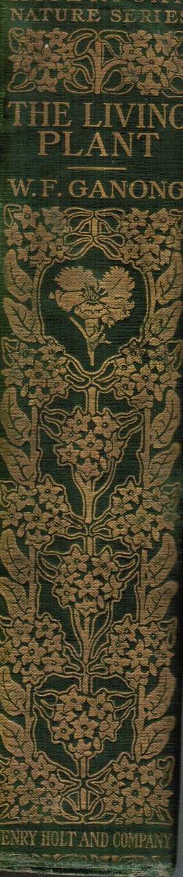 Image for The Living Plant: a Description and Interpretation of its Functions and Structure