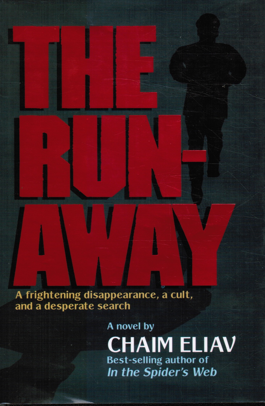 Image for The Runaway: A Frightening Disappearance, A Cult, And A Desperate Search