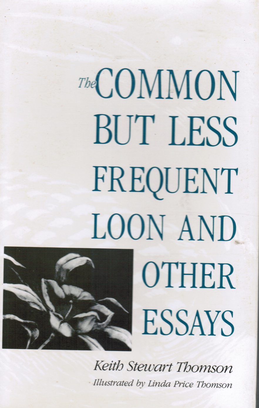 Image for The Common but Less Frequent Loon and Other Essays
