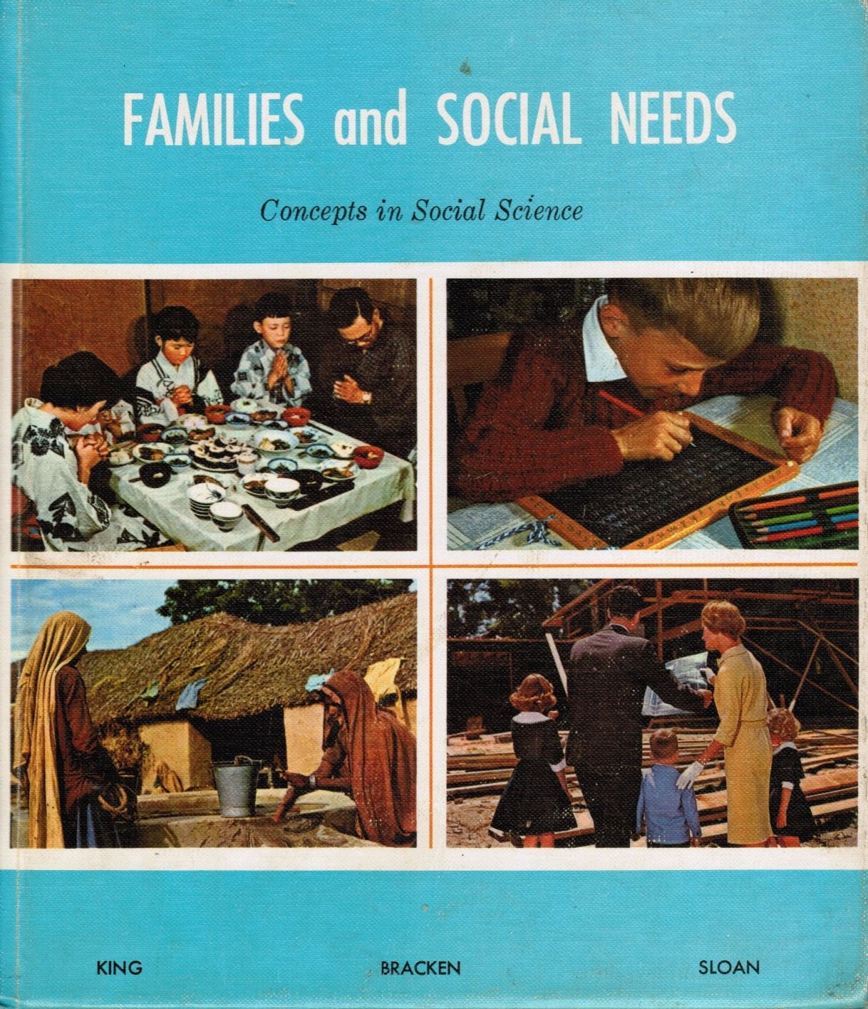 Image for Families and Social Needs: Concepts in Social Science